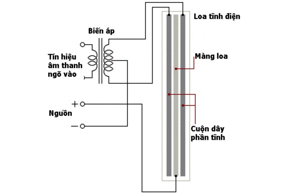 Ai là “cha đẻ” của loa tĩnh điện đầu tiên trên thế giới ? ảnh 2