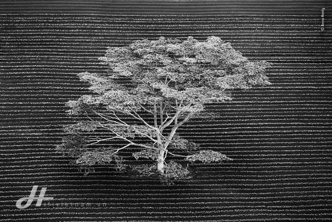 Cùng ngắm những tấm ảnh đẹp nhất trong cuộc thi The Wildlife Photographer of the Year 2018 - Ảnh 1.