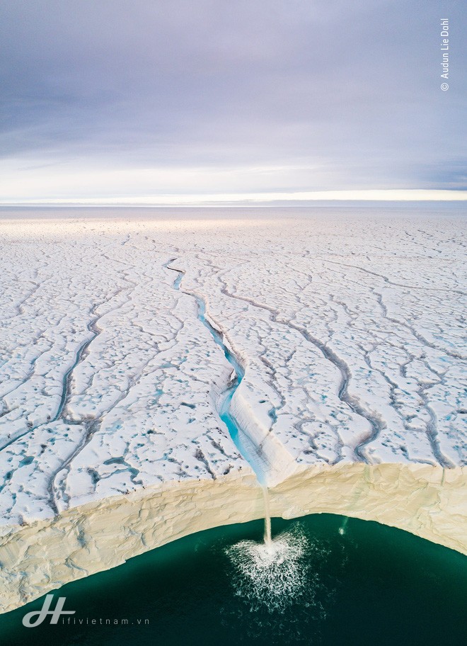 Cùng ngắm những tấm ảnh đẹp nhất trong cuộc thi The Wildlife Photographer of the Year 2018 - Ảnh 2.