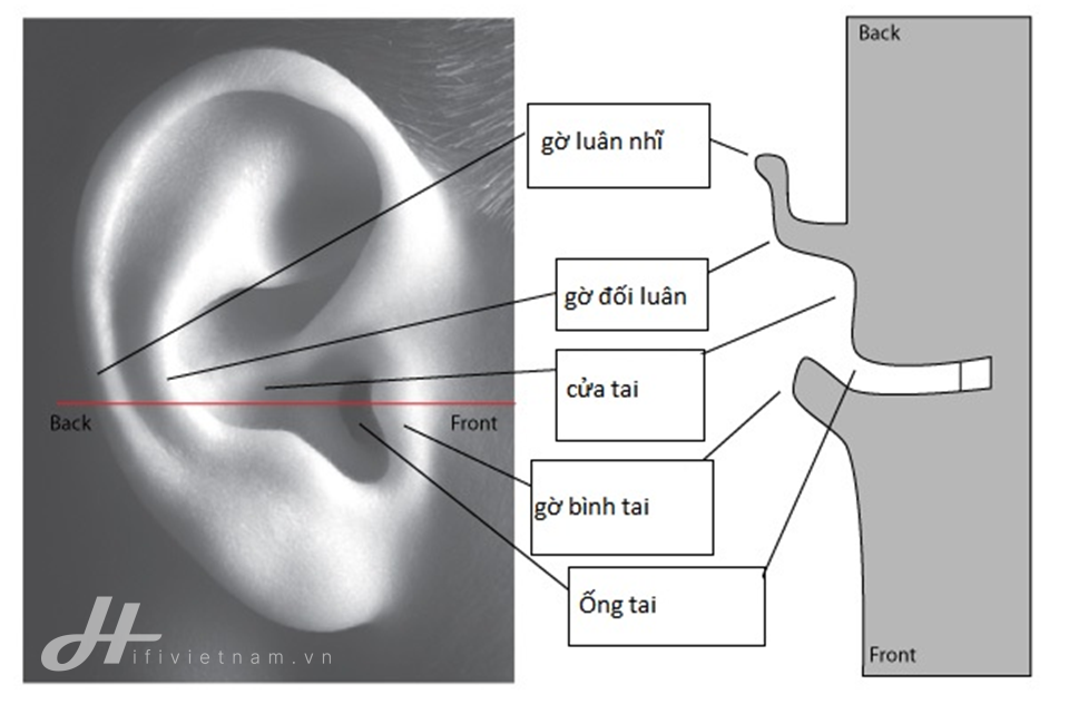 Đang tải tinhte_tai_nguoi.png…