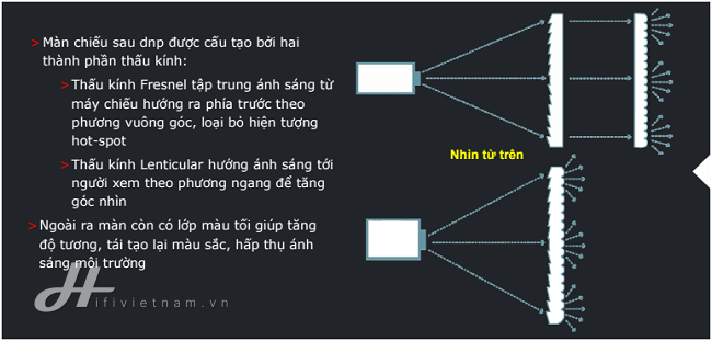 Màn chiếu sau DNP