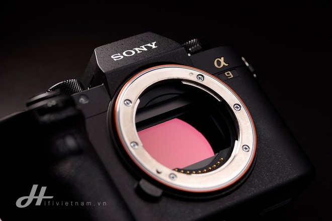 Sony đang đe dọa cả Canon và Nikon bằng những chiếc máy ảnh lấy nét siêu nhanh - Ảnh 3.